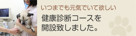 いつまでも元気でいて欲しい健康診断コースを開設致しました。