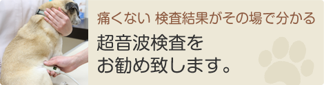 痛くない 検査結果がその場で分かる超音波検査をお勧め致します。